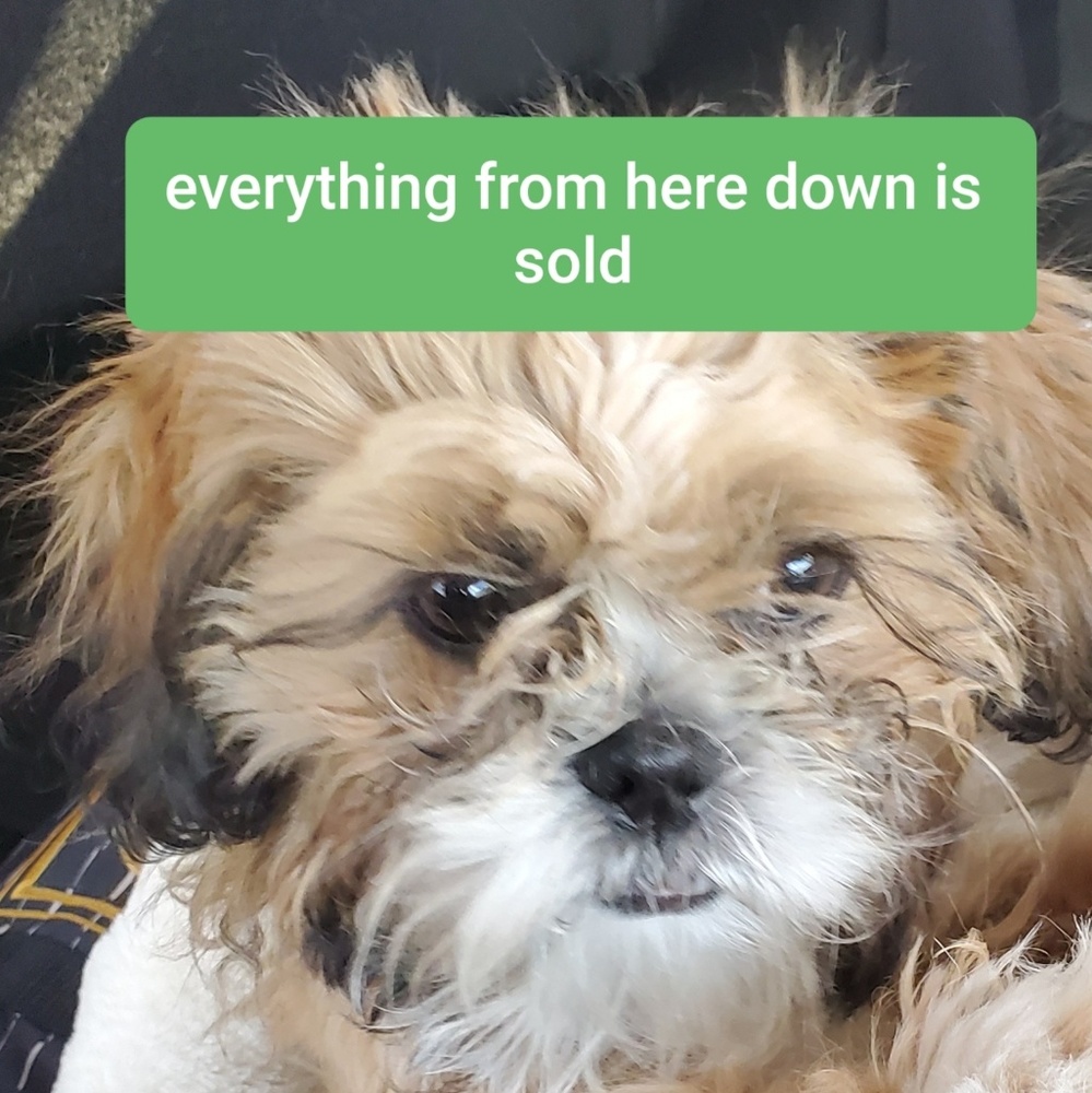Everything